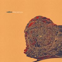 Calibre - they want you