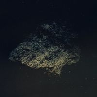Multicast Dynamics - Lost World