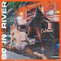 Sexyy Red - Born By the River