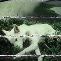 betterluckmason - washed away