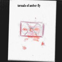 Cold Geese - Tornado of Amber Fly