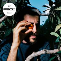 Piezo - FACT Mix 917