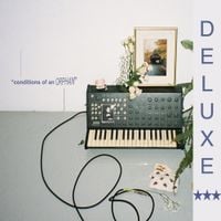 KennyHoopla - conditions of an orphan// deluxe edition