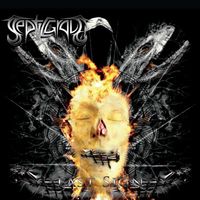 Septic Grave - Last Sign