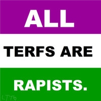 Lesbian Twin Towers - All TERFs are Rapists
