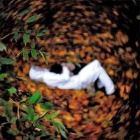 Ghost Mountain - Donkey-Boy