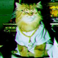 悲しみの人 - Buddha Cat