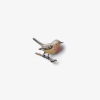 Kishi Bashi - F Delano