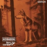 Kosheen - Catch