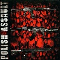 Decapitated - Polish Assault