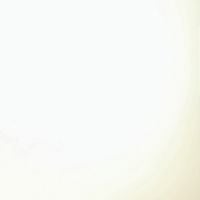 The 365 Project - 342: 2 Lines