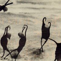 Green - Placid Creatures