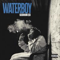 BloodHound Q50 - Waterboy