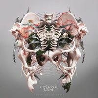 Crystal Lake - Neversleep