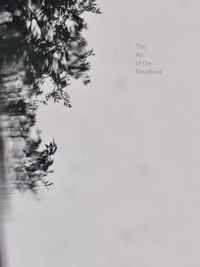 Jayla May - The Air of the Meadows