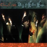 China Crisis - Diary of a Hollow Horse
