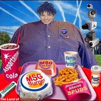 Zyphr - The Land Of Gunchland