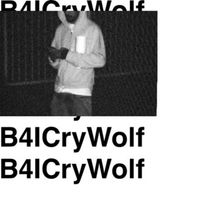 wifisfuneral - B4ICryWolf