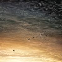 Light Blending In - Radiance