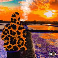 Darcy - n2L