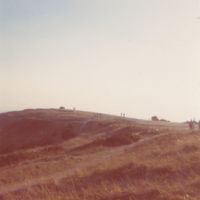 Andrew Chalk - Calluna