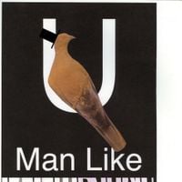 Bon Iver - U (Man Like)