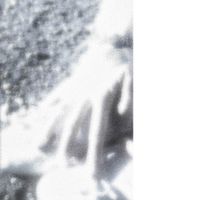 Smush - 41