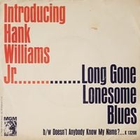 Hank Williams, Jr. - Long Gone Lonesome Blues
