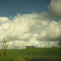 tori inu - hay algo sobre el reflejo del cielo en el pavimento mojado que no me deja pensar en algo que no seas t&uacute;