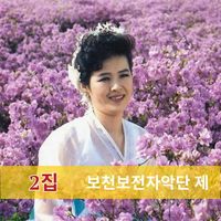 보천보전자악단 [Pochonbo Electronic Ensemble] - 2집