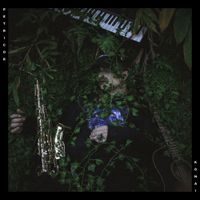 Konai - Petricor
