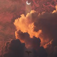 Dreamfield - A Long Shot