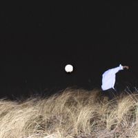 Highvyn - Valentina