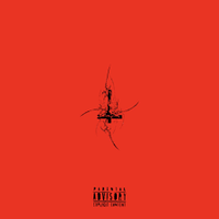 Cooloquan - +RED
