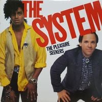 The System - The Pleasure Seekers