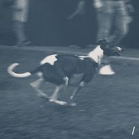 campolargo - Velhos H&aacute;bitos