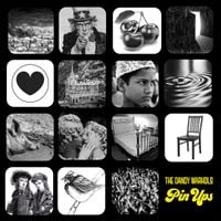 The Dandy Warhols - Pin Ups