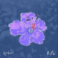 Kadar - Sleepless Nights