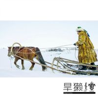 旱獭乐队 - "旱獭 (Marmota)"