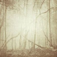 Superstorms - Superstorms