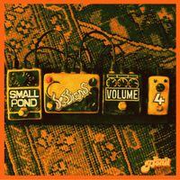 Various Artists - Small Pond Sessions | Vol IV
