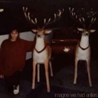 imagine we had antlers - imagine we had antlers