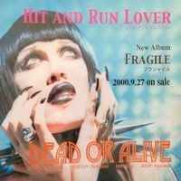 Dead or Alive - Hit and Run Lover