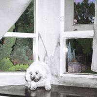 Dogwhine - Dog of God