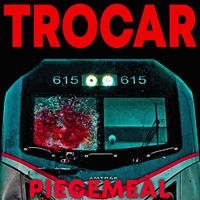Trocar - Piecemeal