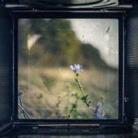 Slowly Rolling Camera - ViewFinder: Nature's Ratio