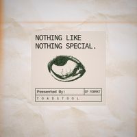 ToadStool - Nothing Like Nothing Special