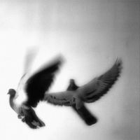 Acath - how long is forever