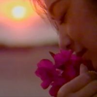 夢研究センター [Dream Research Center] - 夕顔