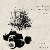 Often Wrong - The Figs Are Starting To Rot